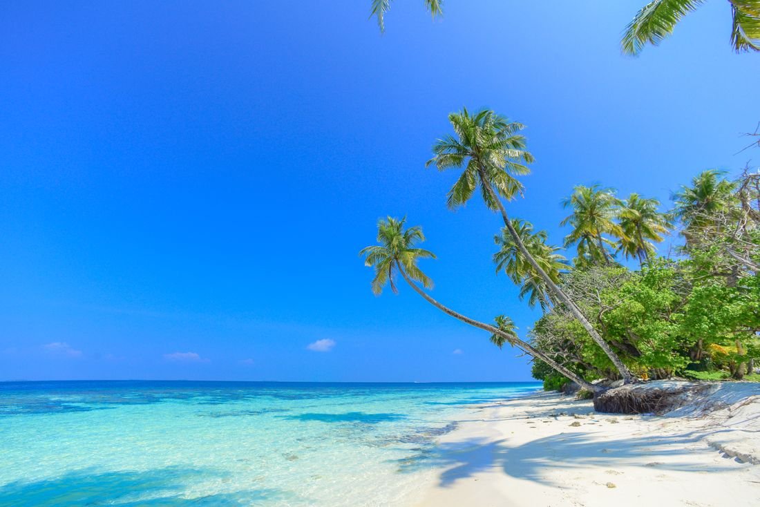 Tropical cruise destination with palms and turquoise water